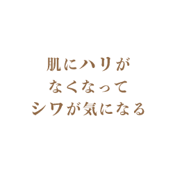 肌にハリがなくなってシワが気になる